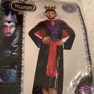Disney Evil Queen Costume 😈